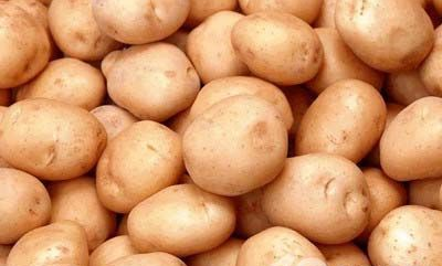 (科米代謝 小知識)氨基酸檢測檢測方法介紹