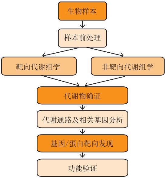 靶向與非靶向代謝組學(xué)解析