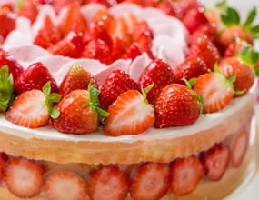 果糖、葡萄糖、蔗糖和淀粉在體內(nèi)代謝有何不同？