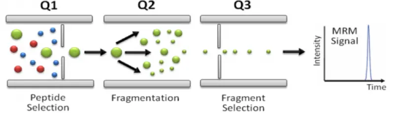 什么是三重四級桿，和四級桿又有何區(qū)別？
