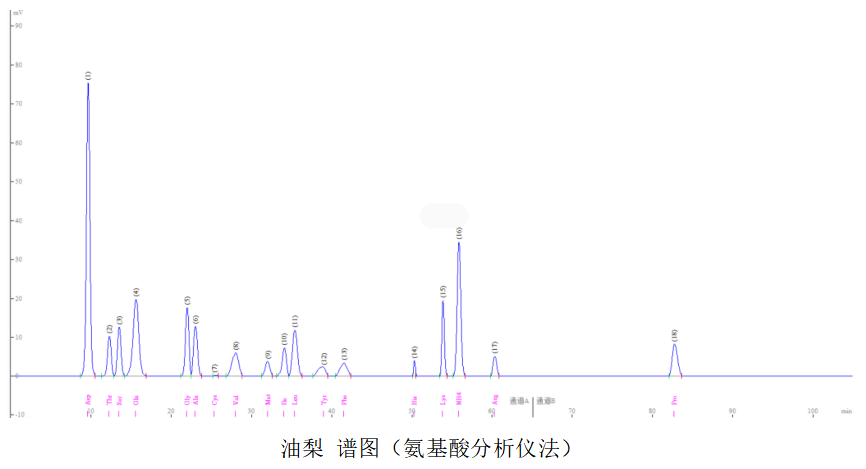 氨基酸定量檢測